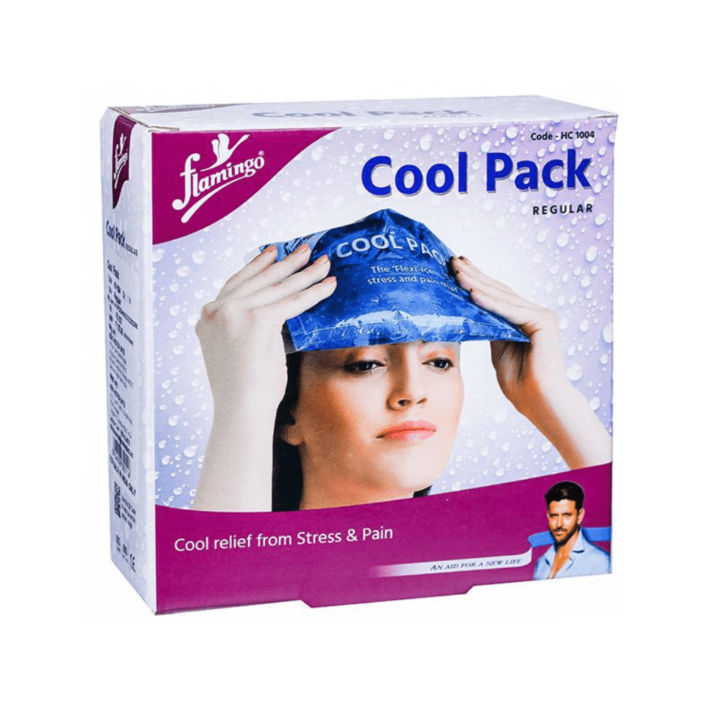 Flamingo Cool Pack Regular Size (1pcs) - My Store